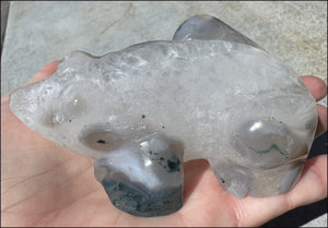 XXL Moss Agate FROG Totem - A Gardener's Stone, Abundance