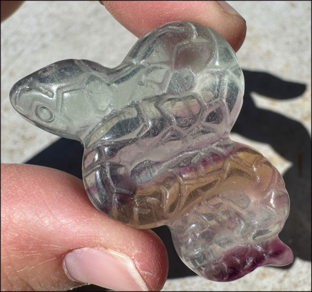 Banded Fluorite SNAKE Totem - Transformation, Protection