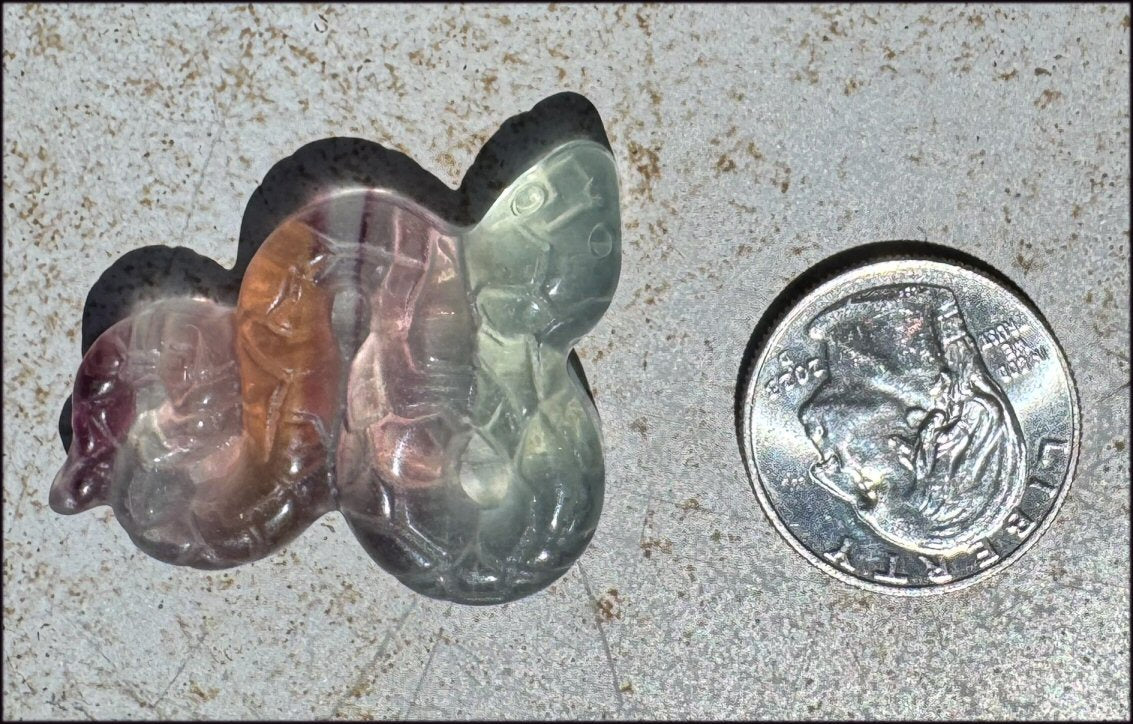 Banded Fluorite SNAKE Totem - Transformation, Protection