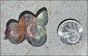 Banded Fluorite SNAKE Totem - Transformation, Protection
