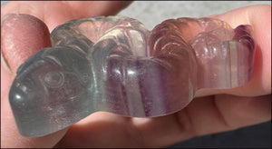 Banded Fluorite SNAKE Totem - Transformation, Protection