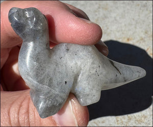 Carved Labradorite Dinosaur Totem - Ancient Wisdom!