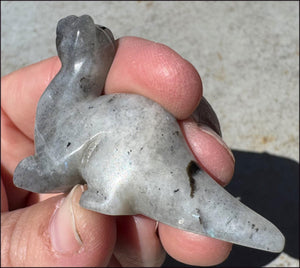 Carved Labradorite Dinosaur Totem - Ancient Wisdom!