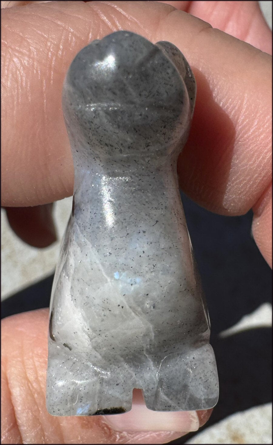 Carved Labradorite Dinosaur Totem - Ancient Wisdom!