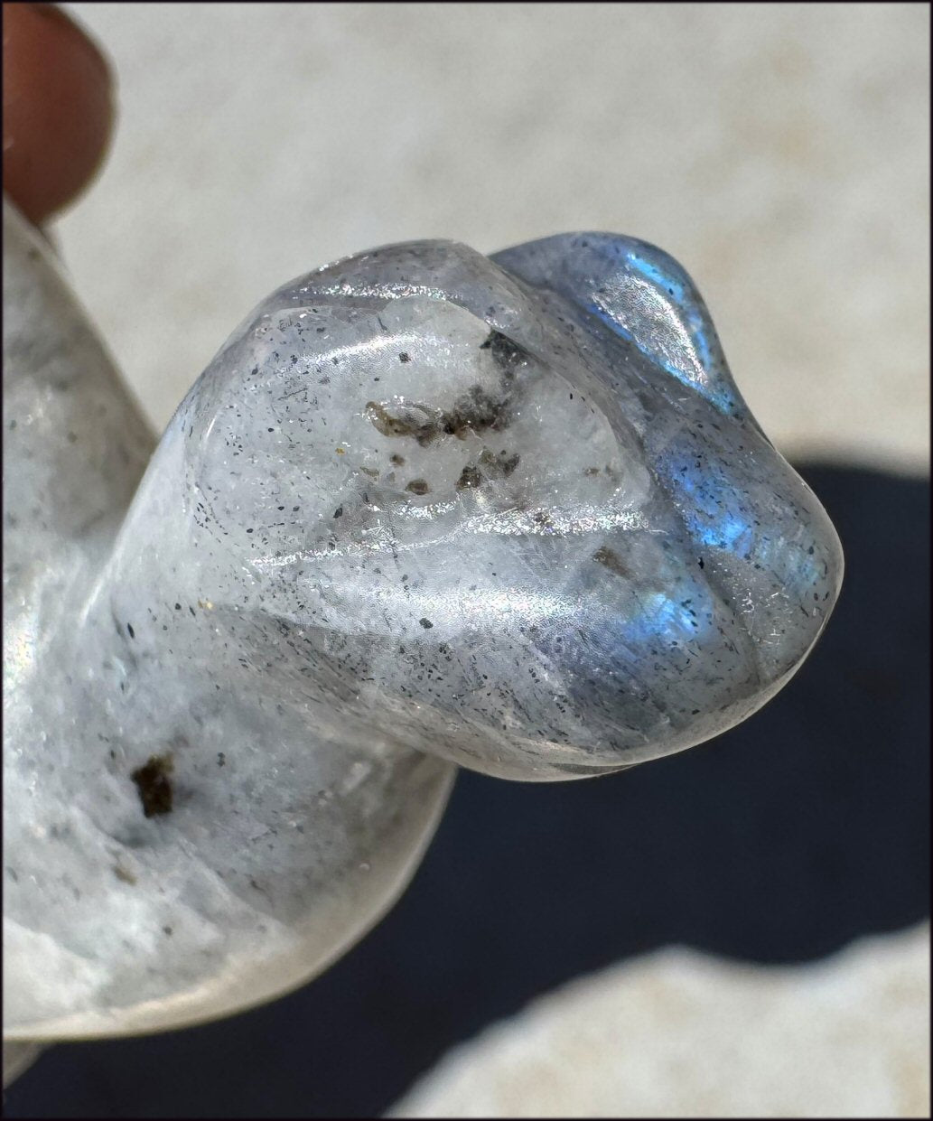 Carved Labradorite Dinosaur Totem - Ancient Wisdom!