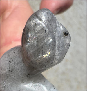 Carved Labradorite Dinosaur Totem - Ancient Wisdom!