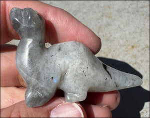 Carved Labradorite Dinosaur Totem - Ancient Wisdom!