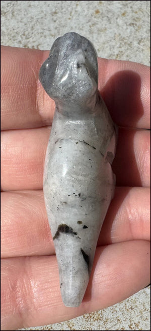 Carved Labradorite Dinosaur Totem - Ancient Wisdom!