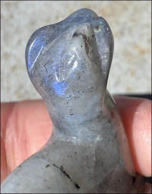 Carved Labradorite Dinosaur Totem - Ancient Wisdom!