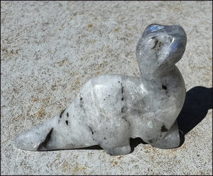 Carved Labradorite Dinosaur Totem - Ancient Wisdom!