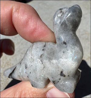 Carved Labradorite Dinosaur Totem - Ancient Wisdom!