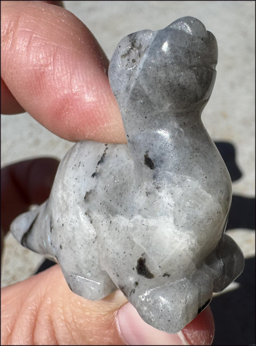 Carved Labradorite Dinosaur Totem - Ancient Wisdom!