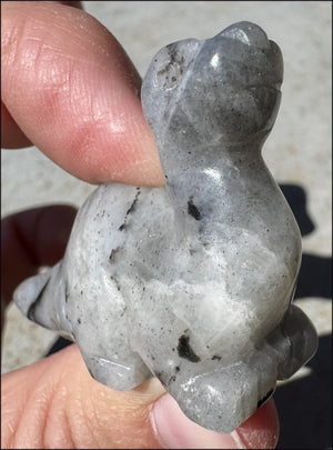 Carved Labradorite Dinosaur Totem - Ancient Wisdom!