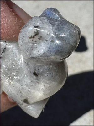 Carved Labradorite Dinosaur Totem - Ancient Wisdom!