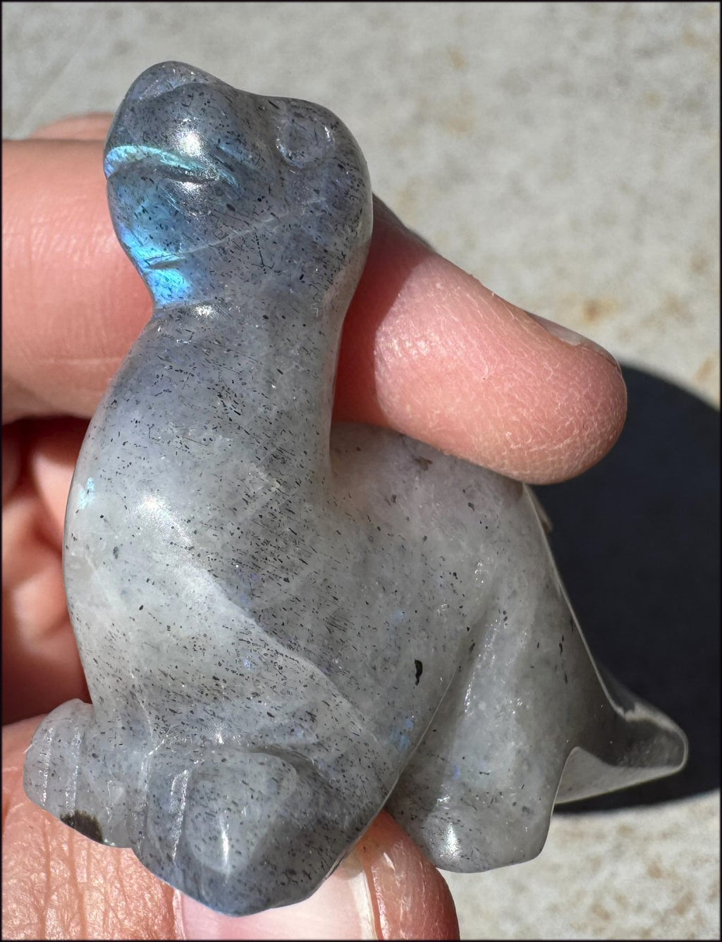 Carved Labradorite Dinosaur Totem - Ancient Wisdom!