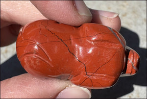 Red Jasper PIG Totem - Prosperity, Health