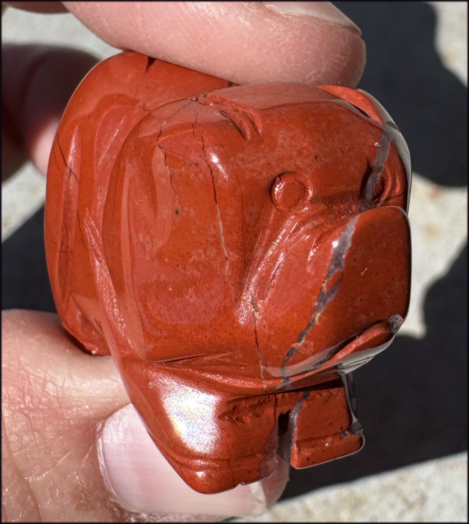 Red Jasper PIG Totem - Prosperity, Health