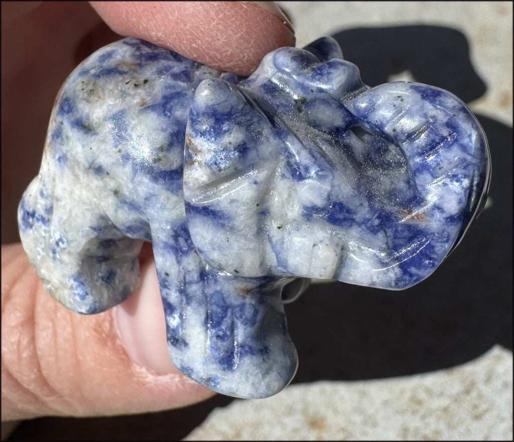 Sodalite LUCKY ELEPHANT Totem with some Fluorescence