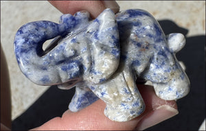 Sodalite LUCKY ELEPHANT Totem with some Fluorescence