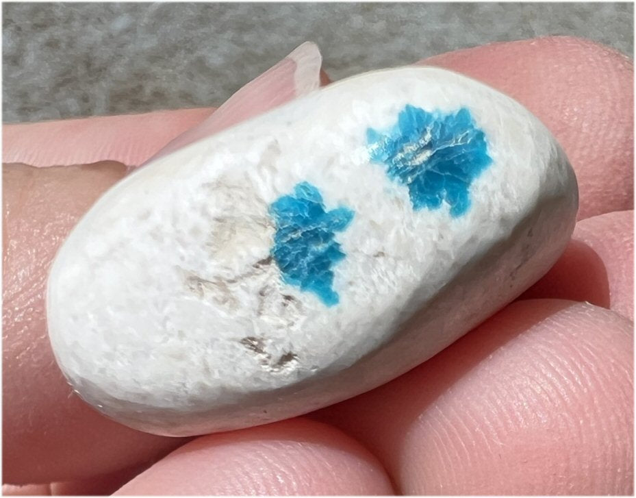 Cavansite in Natrolite Pocket Stone - Intuition, Remove negativity
