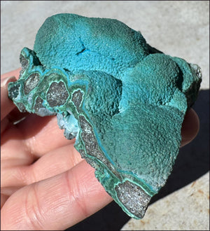 ~Fantastic~ Chrysocolla Specimen with Malachite - Harmony, Transformation