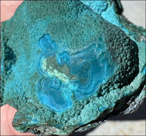 ~Fantastic~ Chrysocolla Specimen with Malachite - Harmony, Transformation
