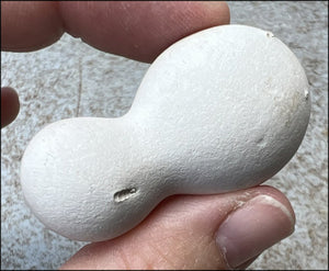 ~New!~ Fairy Stone Concretion Specimen from Spain! AKA Goddess Stone