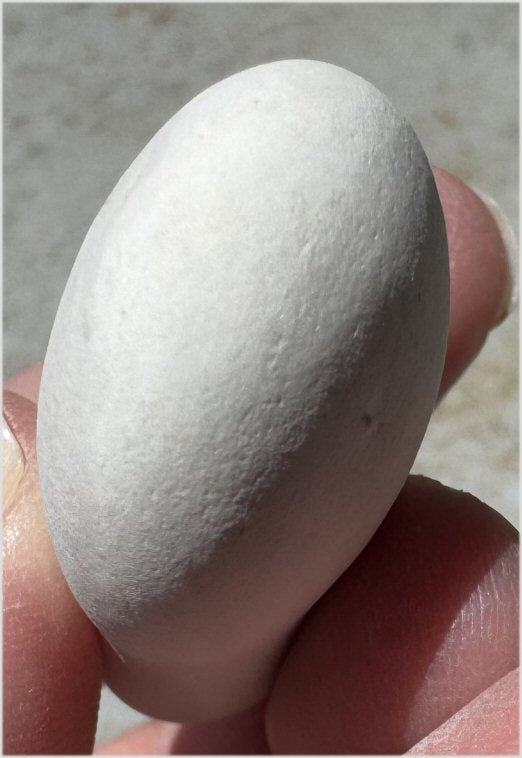 ~ New!~ Fairy Stone Concretion Specimen from Spain! AKA Goddess Stone