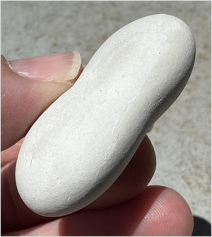 ~ New!~ Fairy Stone Concretion Specimen from Spain! AKA Goddess Stone