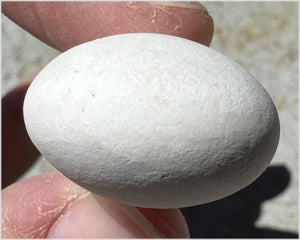 ~ New!~ Fairy Stone Concretion Specimen from Spain! AKA Goddess Stone