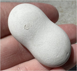 ~ New!~ Fairy Stone Concretion Specimen from Spain! AKA Goddess Stone