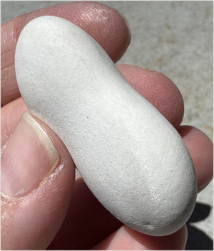 ~ New!~ Fairy Stone Concretion Specimen from Spain! AKA Goddess Stone