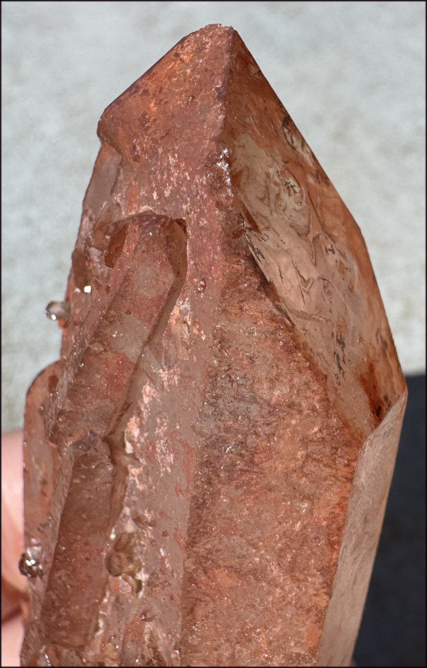 Tabular Ferruginous Quartz Cluster AKA Fire Quartz - Grounding, Divine Light