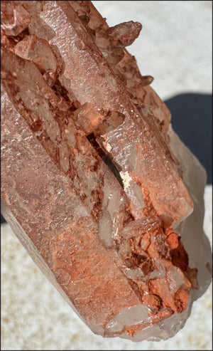 Tabular Ferruginous Quartz Cluster AKA Fire Quartz - Grounding, Divine Light