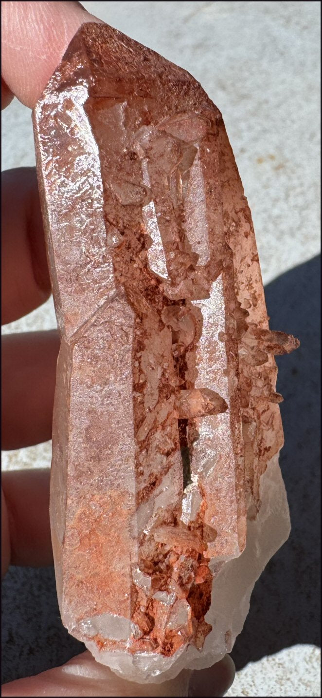 Tabular Ferruginous Quartz Cluster AKA Fire Quartz - Grounding, Divine Light