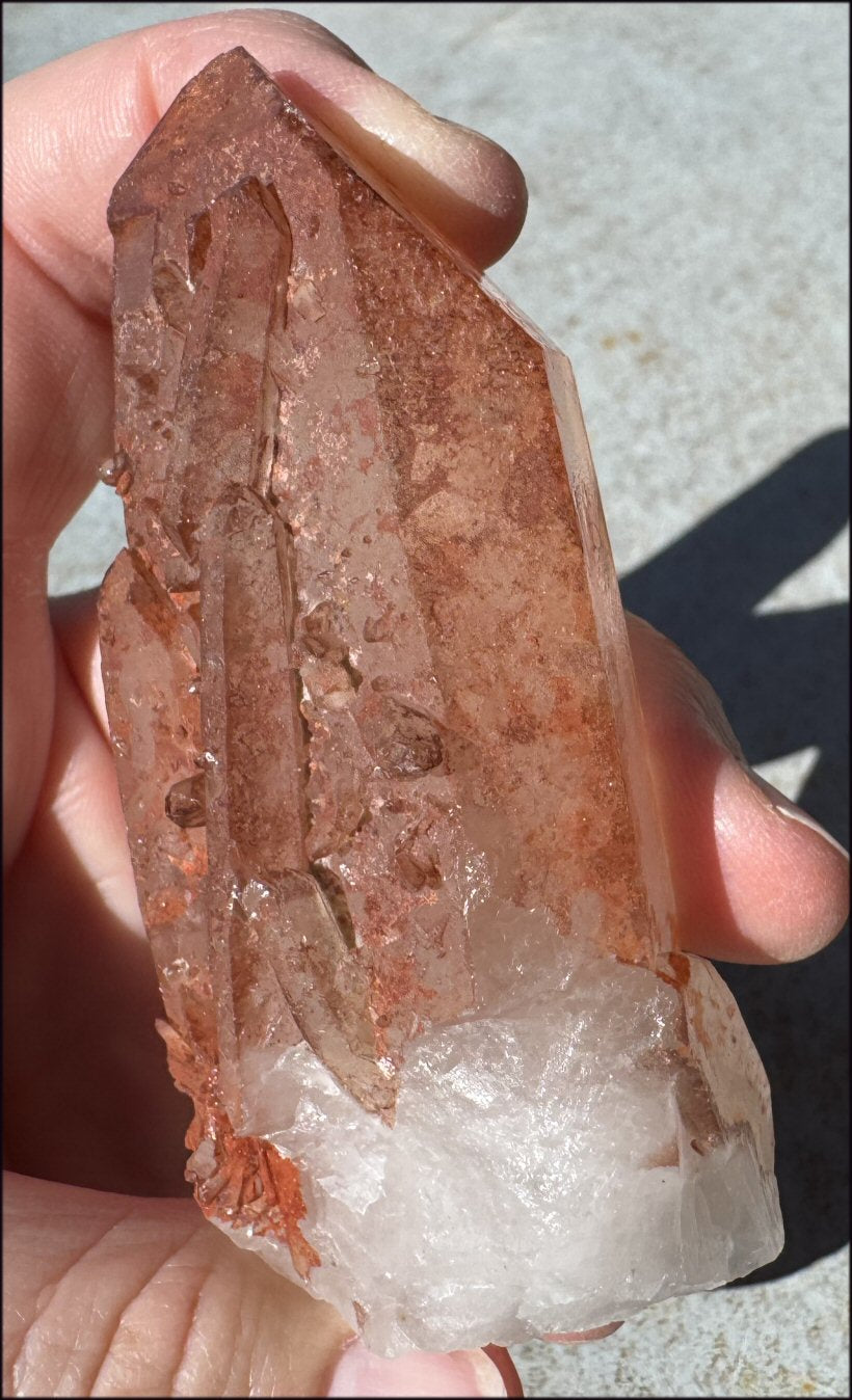 Tabular Ferruginous Quartz Cluster AKA Fire Quartz - Grounding, Divine Light
