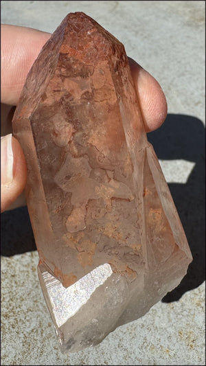 Tabular Ferruginous Quartz Cluster AKA Fire Quartz - Grounding, Divine Light