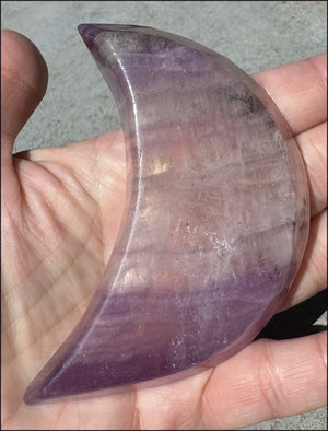 Banded Purple Fluorite CRESCENT MOON Bowl / Dish with Dendritic inclusions