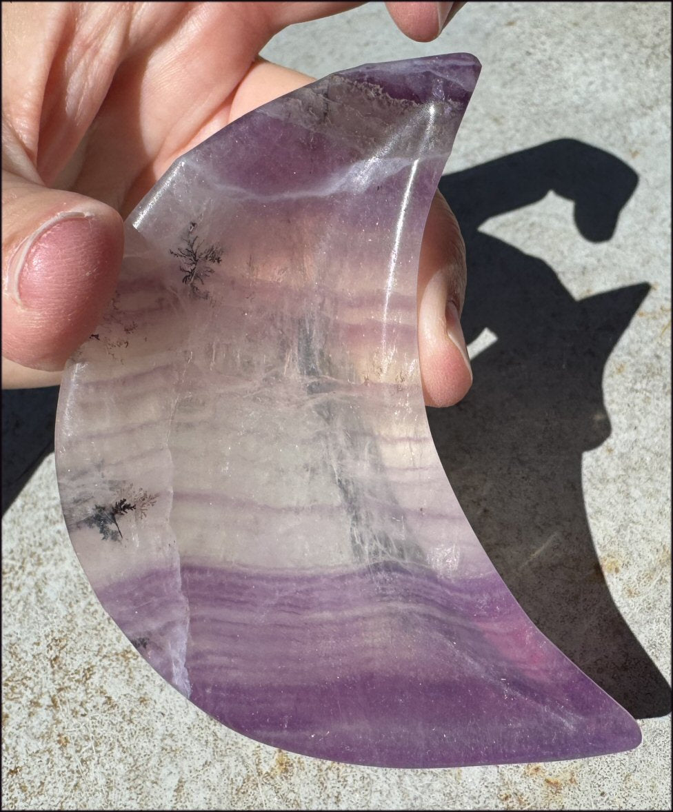 Banded Purple Fluorite CRESCENT MOON Bowl / Dish with Dendritic inclusions