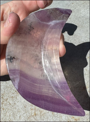 Banded Purple Fluorite CRESCENT MOON Bowl / Dish with Dendritic inclusions