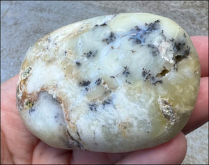 Madagascar Light GREEN OPAL Palm Stone with Lots of Dendritic inclusions