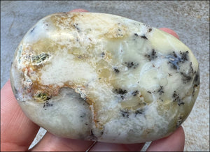 Madagascar Light GREEN OPAL Palm Stone with Lots of Dendritic inclusions