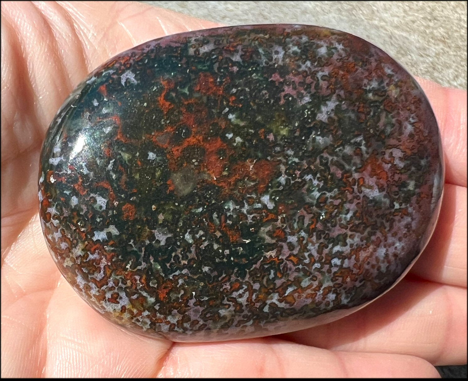 ~Stunning~ Bloodstone + Ocean Jasper Mix Crystal Palm Stone