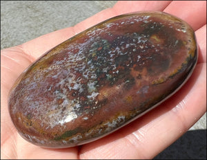 ~Stunning~ Bloodstone + Ocean Jasper Mix Crystal Palm Stone