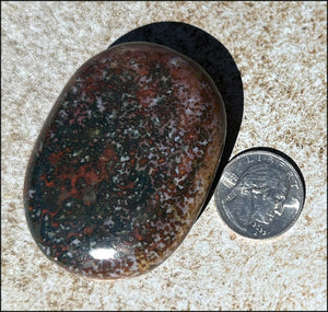 ~Stunning~ Bloodstone + Ocean Jasper Mix Crystal Palm Stone