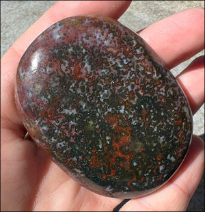 ~Stunning~ Bloodstone + Ocean Jasper Mix Crystal Palm Stone