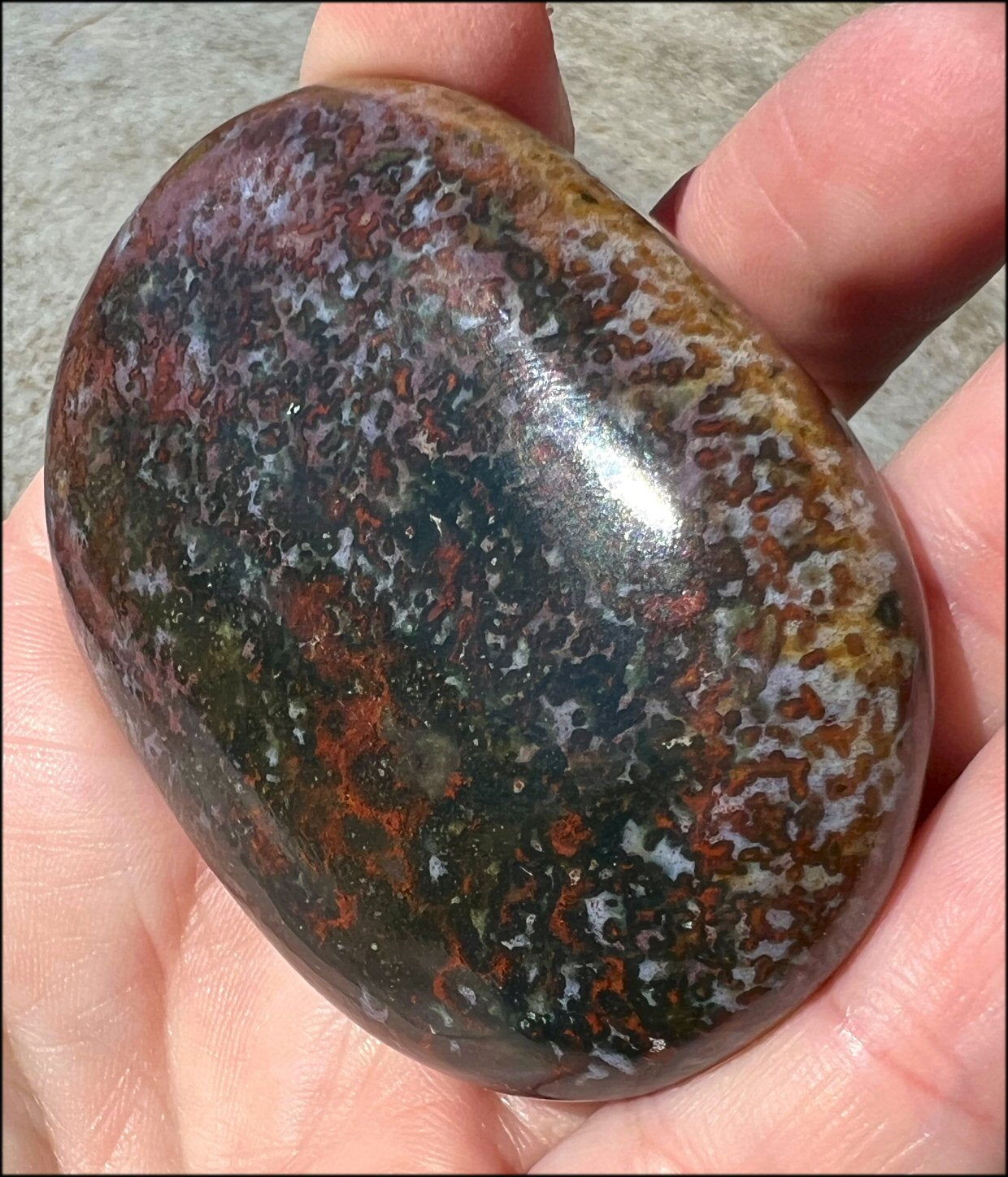~Stunning~ Bloodstone + Ocean Jasper Mix Crystal Palm Stone