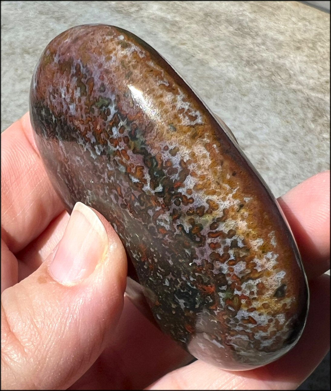 ~Stunning~ Bloodstone + Ocean Jasper Mix Crystal Palm Stone