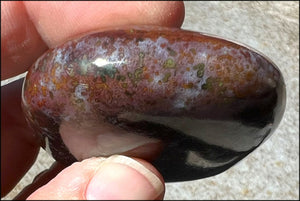 ~Stunning~ Bloodstone + Ocean Jasper Mix Crystal Palm Stone