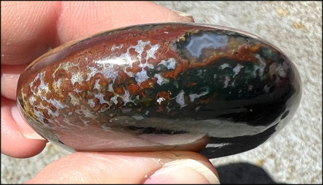 ~Stunning~ Bloodstone + Ocean Jasper Mix Crystal Palm Stone